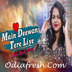 Main Deewani Tere liye - Hindi Song
